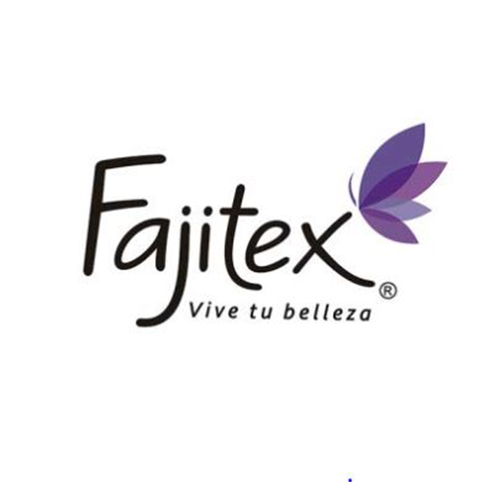 Logo de Fajitex