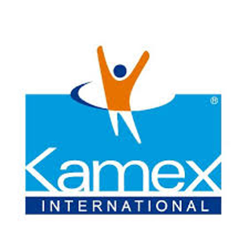 Logo de Kamex